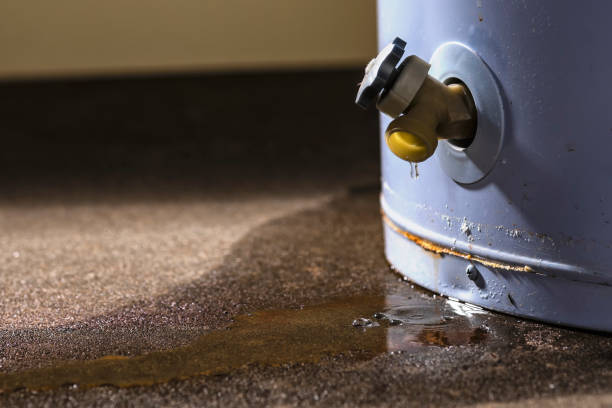 Best Water damage contractors near me  in Martin, SD