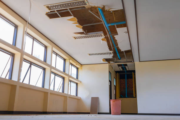 Best Water damage restoration near me  in Martin, SD