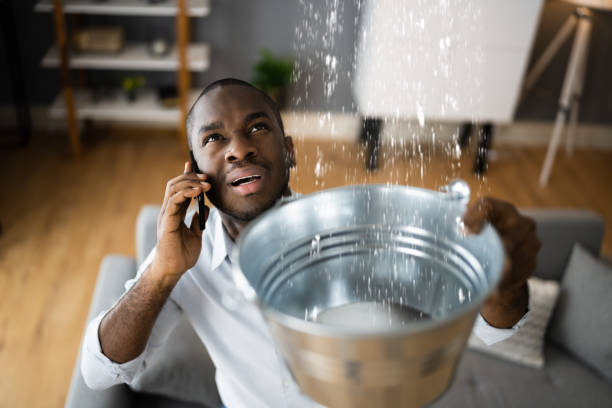 Best Flood damage cleanup  in Martin, SD