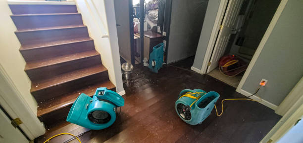 Best Basement water damage restoration  in Martin, SD