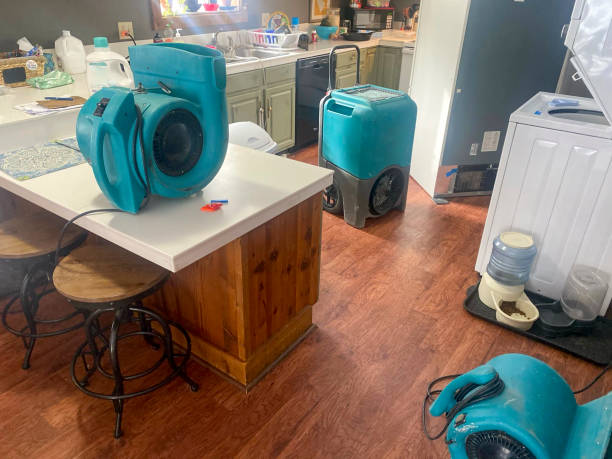 Best Sewage cleanup and water damage restoration  in Martin, SD