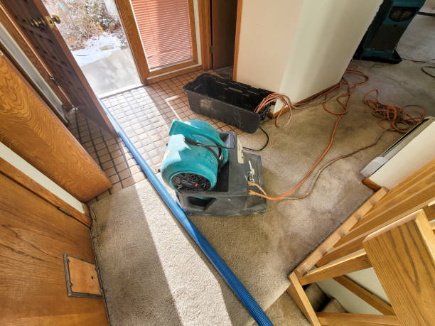 Best Fire Damage Restoration  in Martin, SD