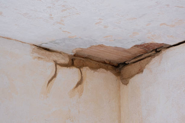 Best Water damage restoration specialists  in Martin, SD