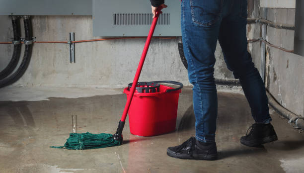 Best Mold removal after water damage  in Martin, SD