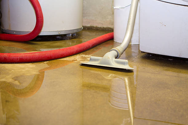 Best 24/7 water damage repair  in Martin, SD