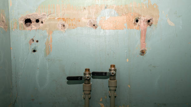 Reliable Martin, SD Water damage restoration Solutions