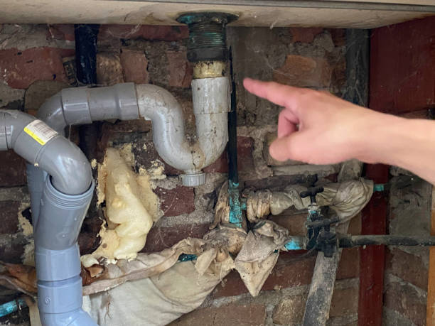 Best Ceiling water damage repair  in Martin, SD
