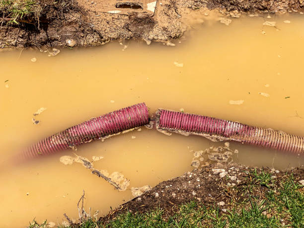 Best Sewage cleanup and water damage restoration  in Martin, SD